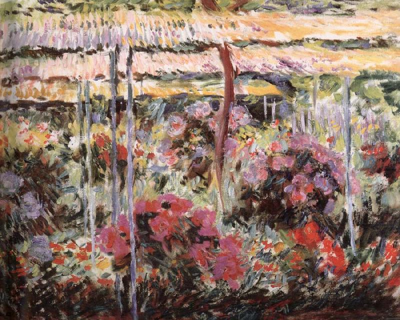Claude Monet Peonies china oil painting image